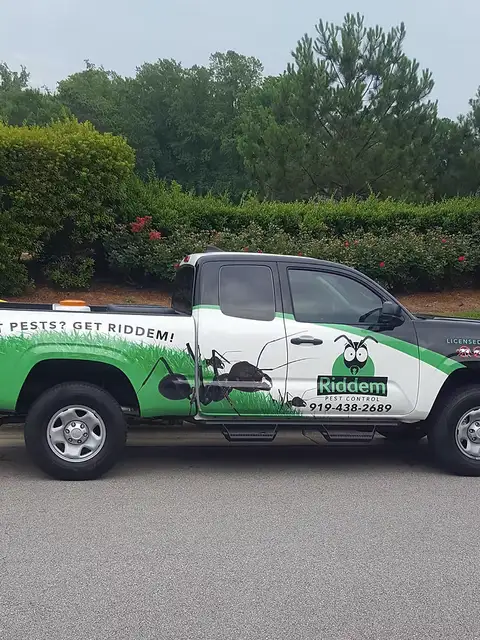 Alex Gross, owner and professional entomologist at Riddem Pest Control